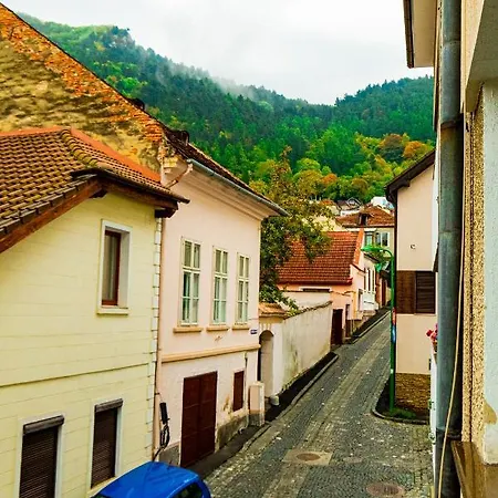 Ardor - Bright And Secluded In The Heart Of Old Town Apartament *