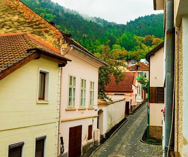 Ardor - Bright And Secluded In The Heart Of Old Town Apartment *